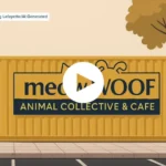 AI created image of shipping container with meowWOOF logo