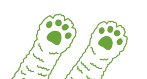 illustrated green cat paws